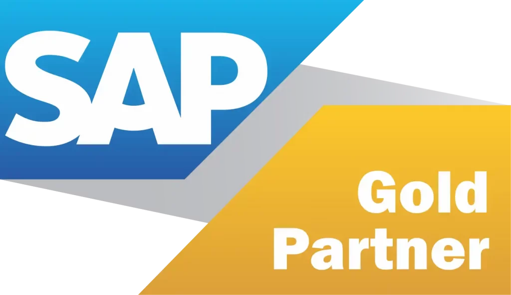 ERP ADS_25003-sap-business-one-paintpoint-style 2 sap-gold-partner