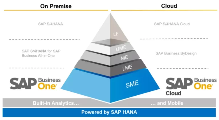 SAP Business One Cloud or On-Premise