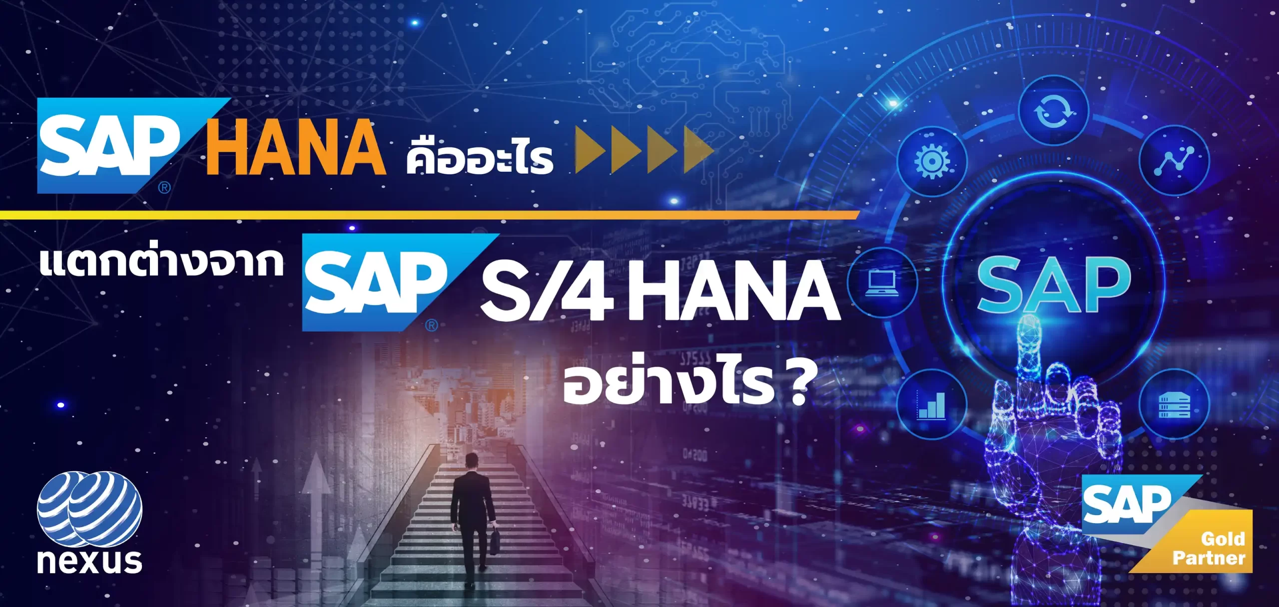SAP HANA คืออะไร? แตกต่างจาก SAP S/4HANA อย่างไร?