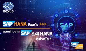 SAP HANA คืออะไร? แตกต่างจาก SAP S/4HANA อย่างไร?