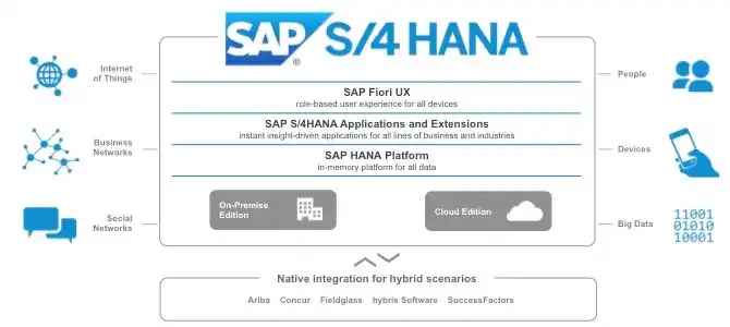 SAP S/4HANA แตกต่างจาก SAP HANA อย่างไร