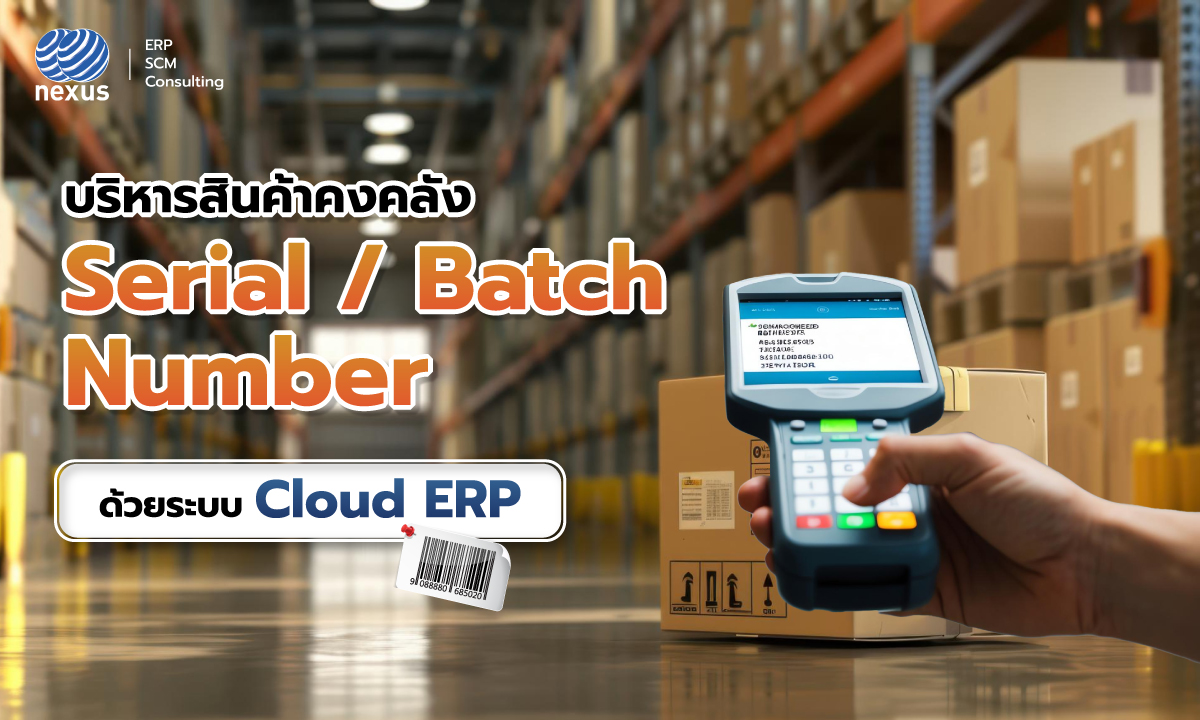 Cloud ERP Serial Number & Batch Number