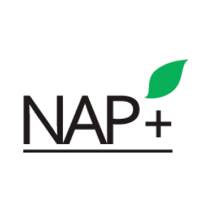 logo nap+