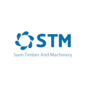 logo stm