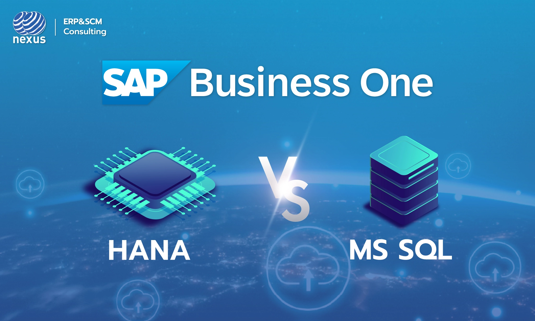 SAP Business One Database