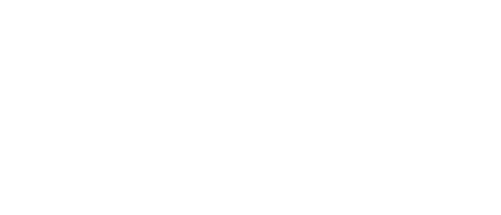 SAP Business Suite_Banner_Experience 27