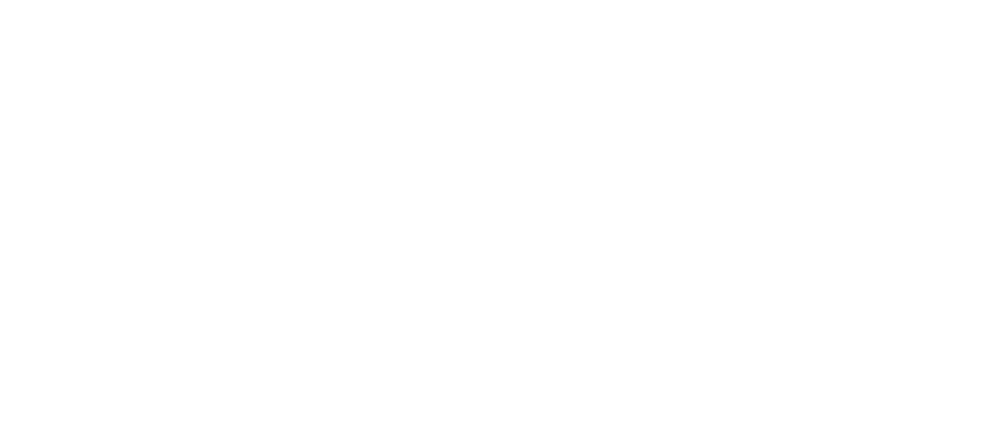 Award__SAP Business One SAP Premier Partner
